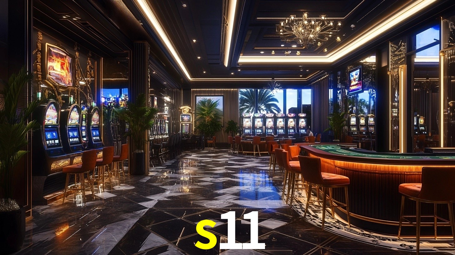 s11
